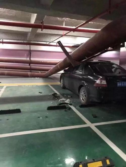 停车场最新爆料视频,停车场惊现神秘事件，视频揭秘惊人真相！